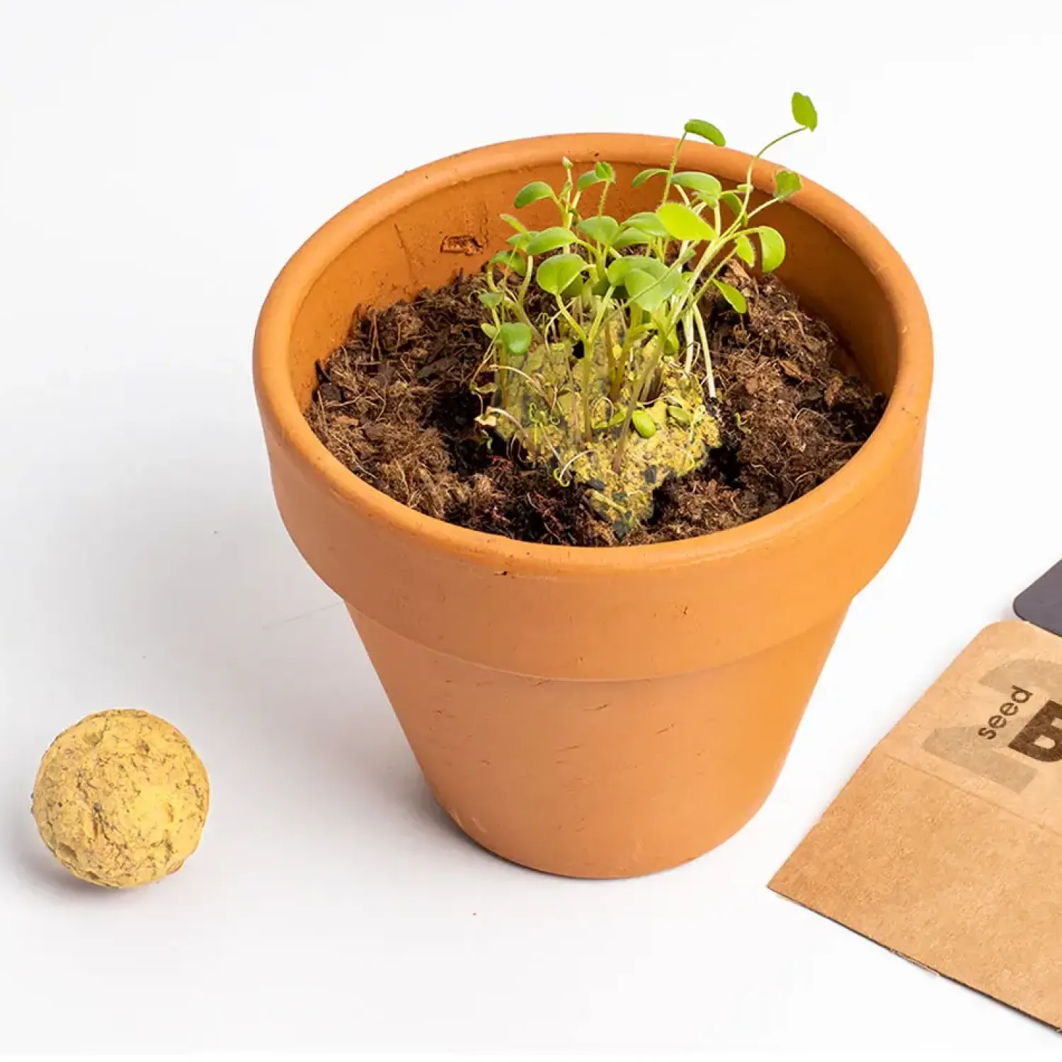 Resetea Bomby nasienne - Let’s Save the Bees, 2szt.