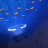 Zazu CODY projektor Oceanu Krab