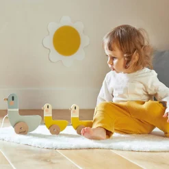 Janod Drewniane kaczki do ciągnięcia Sweet Cocoon