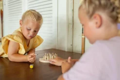 BS Toys Gra memory Kolorowe Pędzle z kostką 4+
