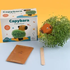 Radis et Capucine Kapibara z terakoty do zasiania nasion chia