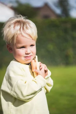 The Zoofamily Krótkofalówki dla dzieci Zoo Walkie Talkie - Fox, Fox