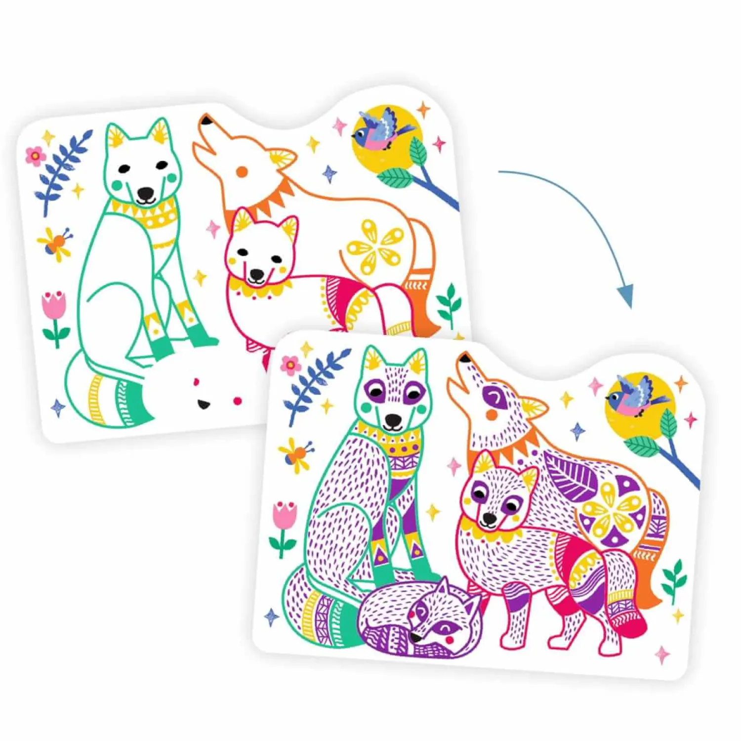 Djeco Magiczne kolorowanki - LEŚNE ZWIERZĄTKA 3+