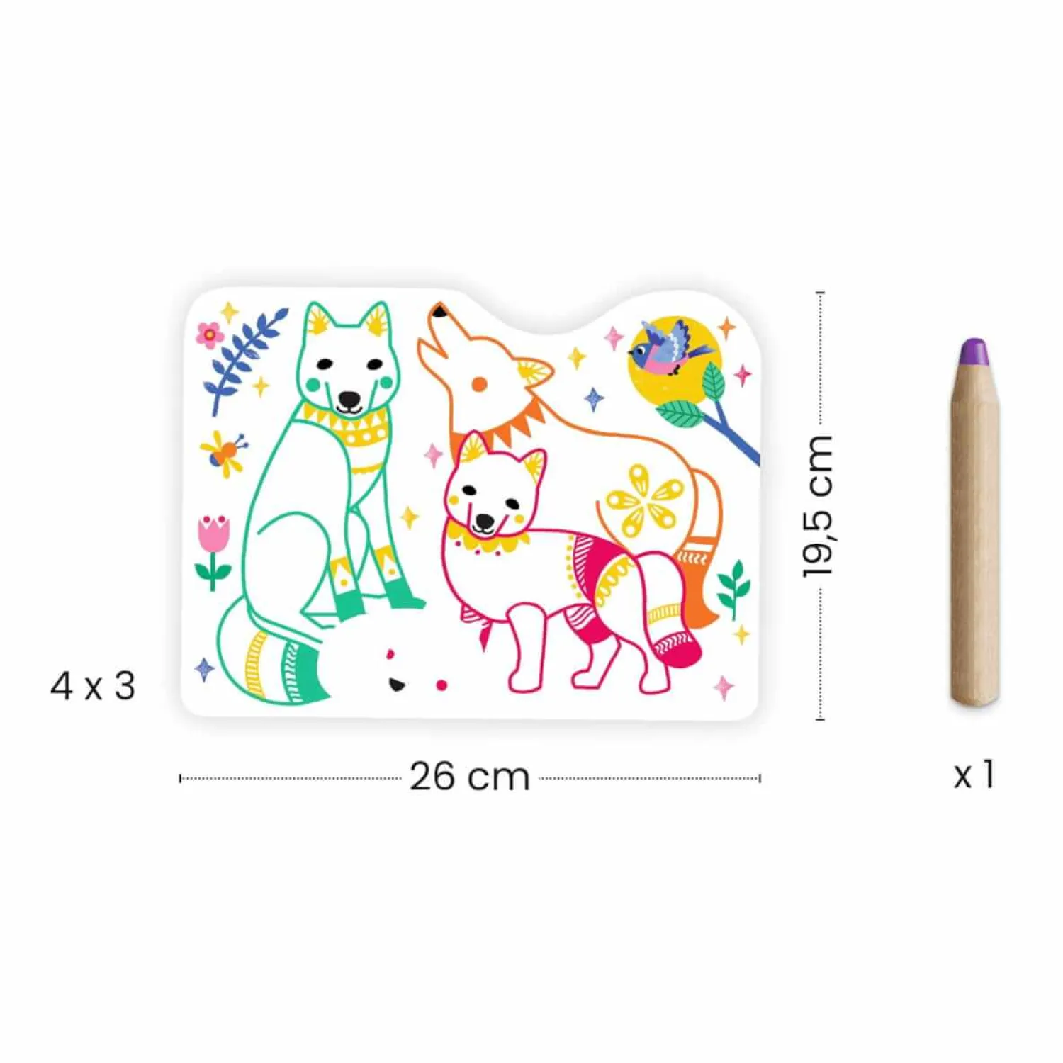 Djeco Magiczne kolorowanki - LEŚNE ZWIERZĄTKA 3+