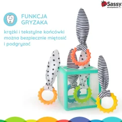 Sassy Manipulacyjna kostka sensoryczna Montessori, sorter z krążkami