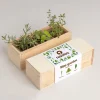 Resetea Mini ogród - Mediterranean