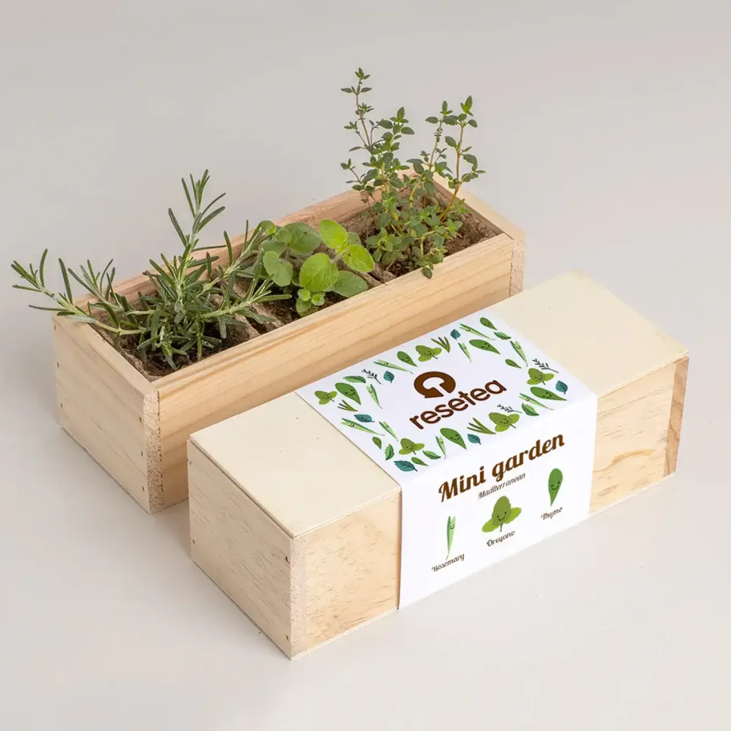 Resetea Mini ogród - Mediterranean