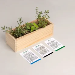 Resetea Mini ogród - Mediterranean