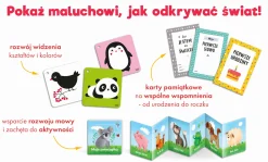 Kapitan Nauka Mój pierwszy rok. Zestaw dla malucha 0-12 miesięcy