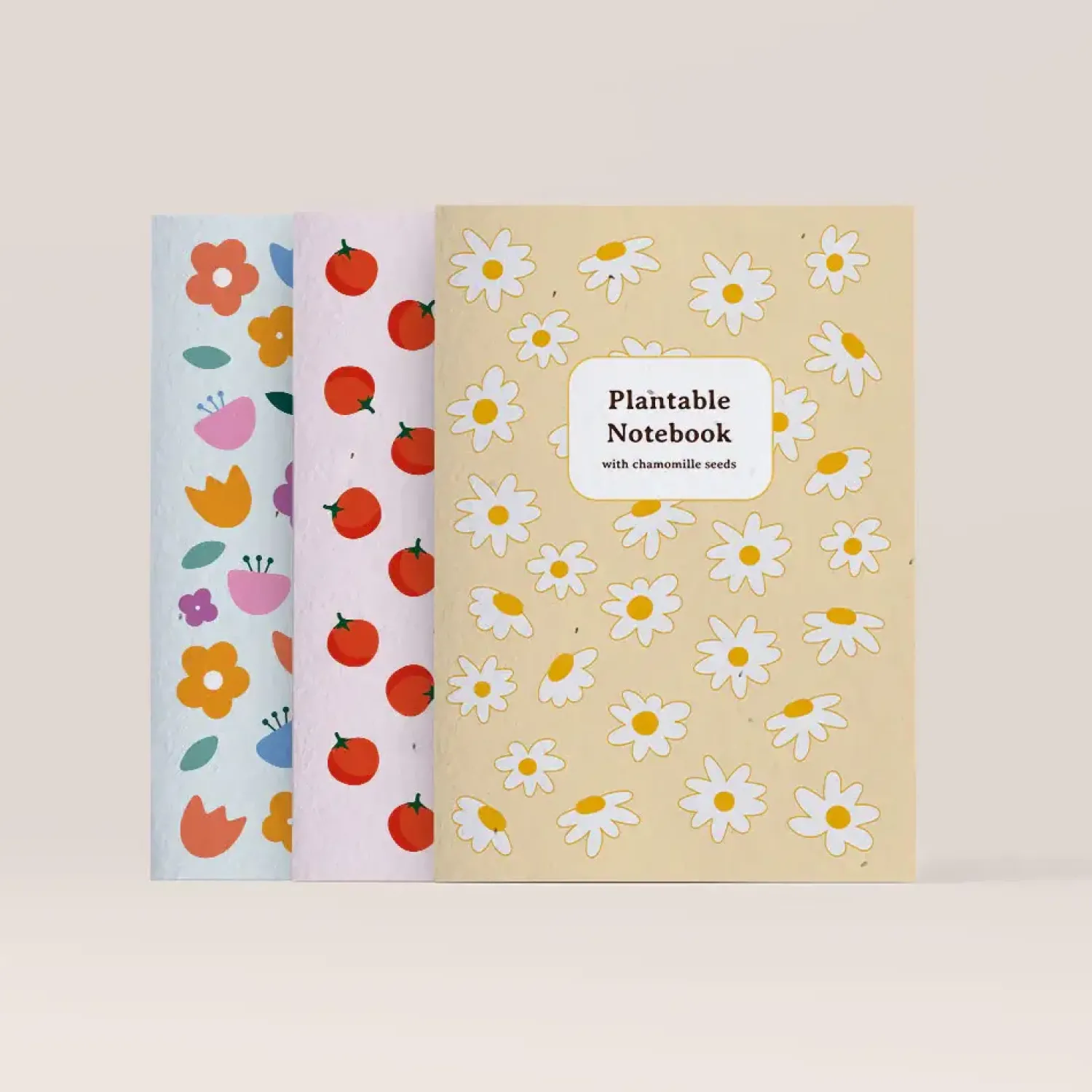 Resetea Notes do zasadzenia - rumianek