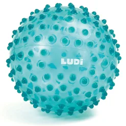 LUDI Piłka sensoryczna ⌀20