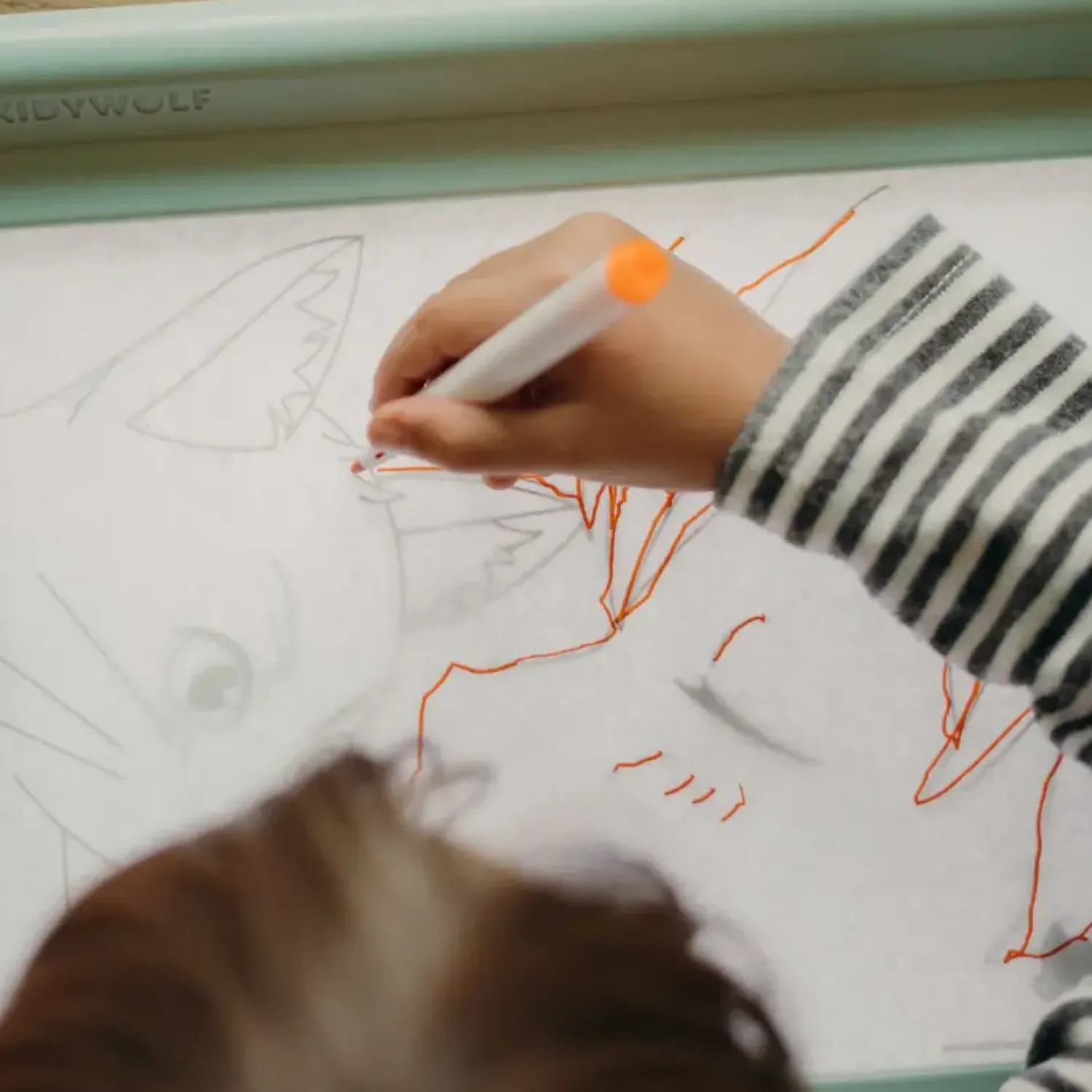 Kidywolf Podświetlany tablet do nauki pisania i rysowania KIDYDRAW-PRO - zielony