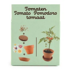 Radis et Capucine Pomidorki do samodzielnej uprawy My Little Tomatoes