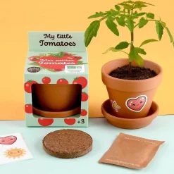 Radis et Capucine Pomidorki do samodzielnej uprawy My Little Tomatoes