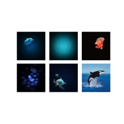 Kidywolf Projektor KIDYSTAR - Ocean