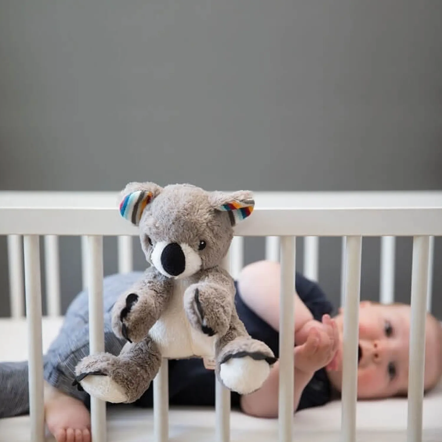 Dzieci Zazu Szumiąca Przytulanka Koala COCO