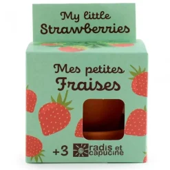 Radis et Capucine Truskawki do samodzielnej uprawy My Little Strawberries
