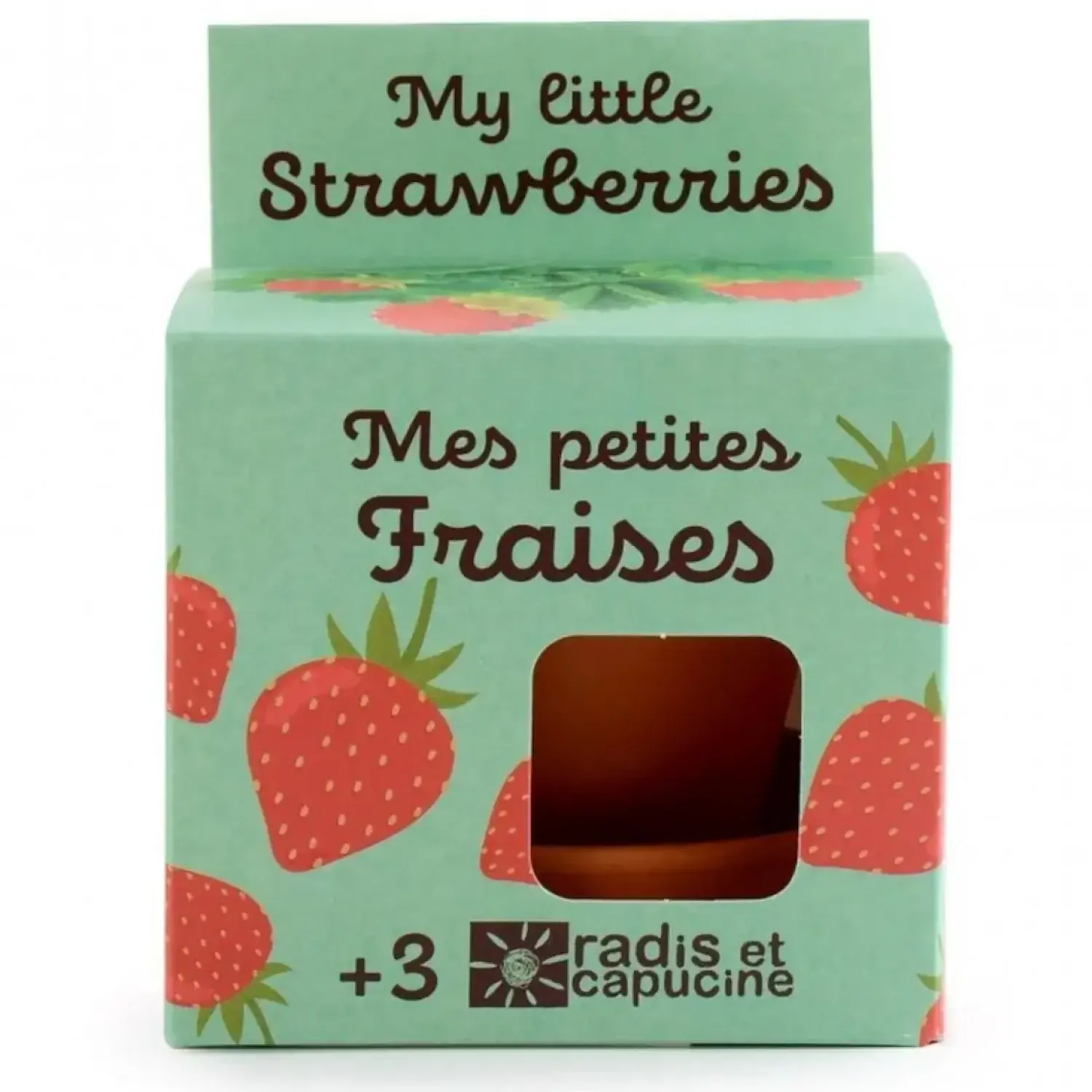Radis et Capucine Truskawki do samodzielnej uprawy My Little Strawberries