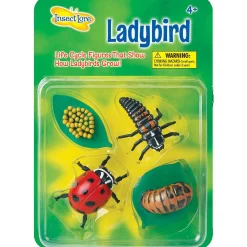 Insect Lore Zestaw figurek Cykl Życia Biedronki