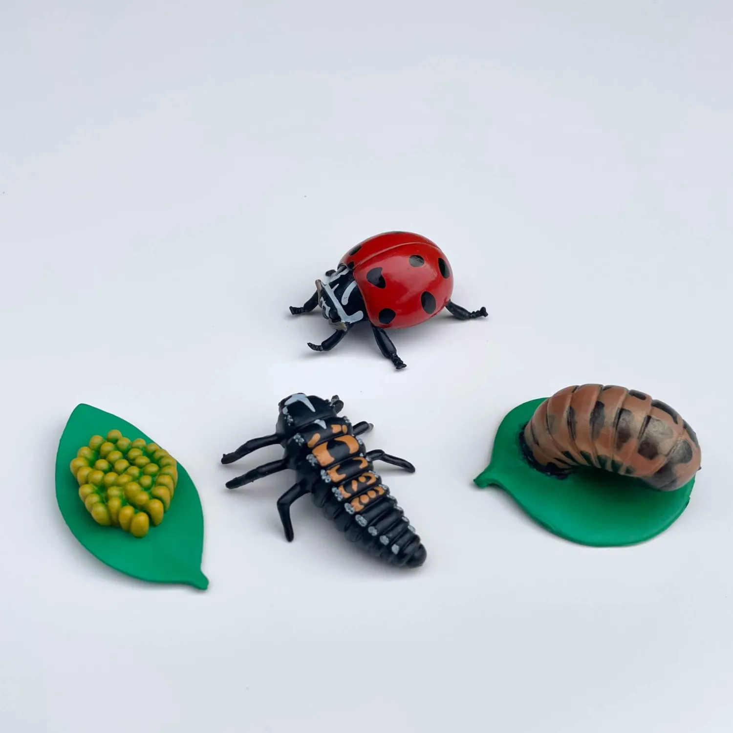 Insect Lore Zestaw figurek Cykl Życia Biedronki
