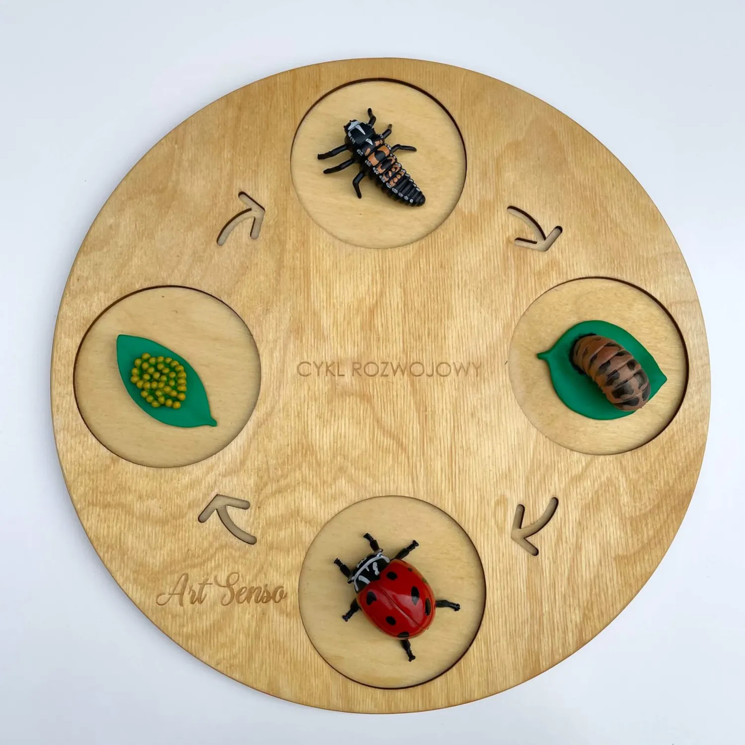 Insect Lore Zestaw figurek Cykl Życia Biedronki