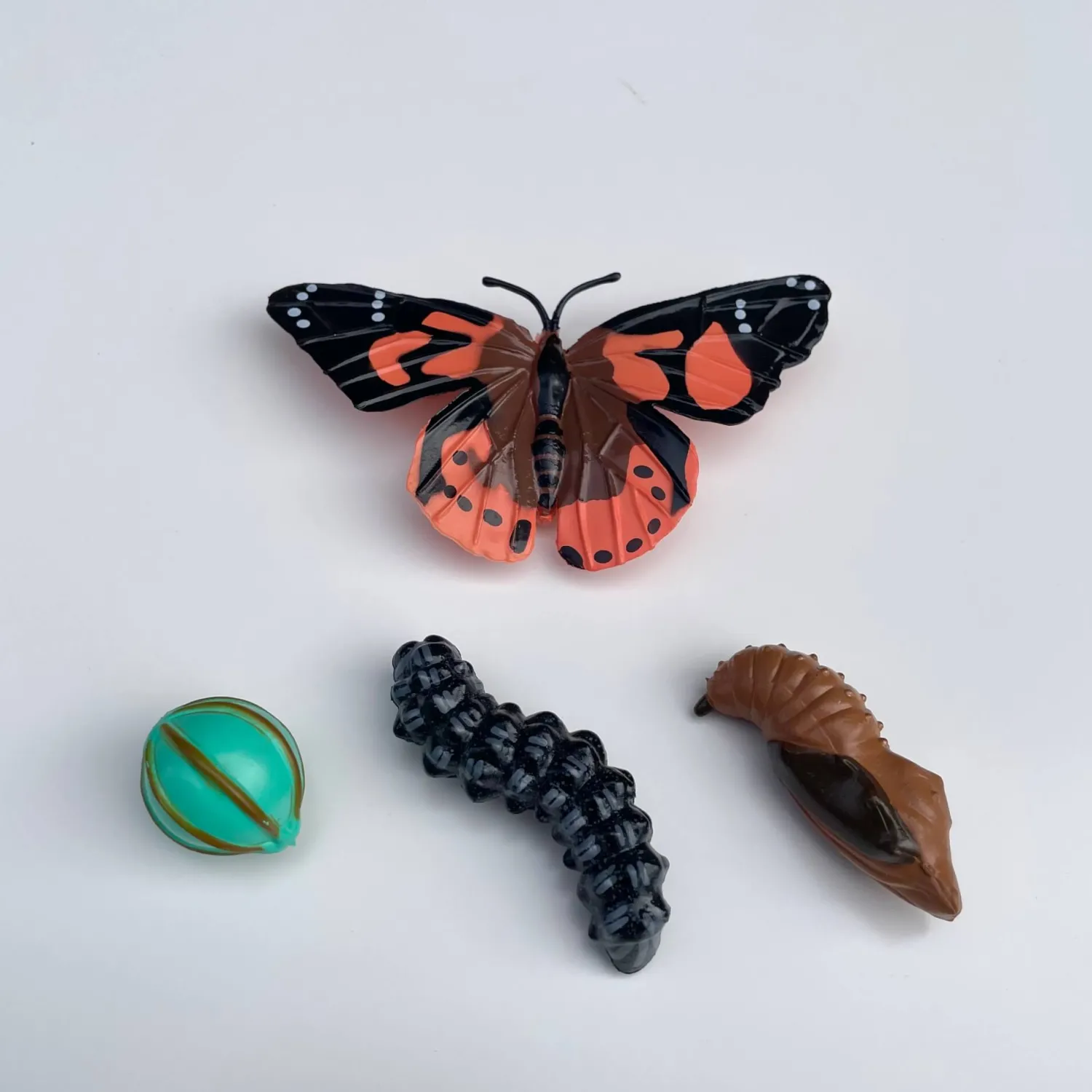 Insect Lore Zestaw figurek Cykl Życia Motyla