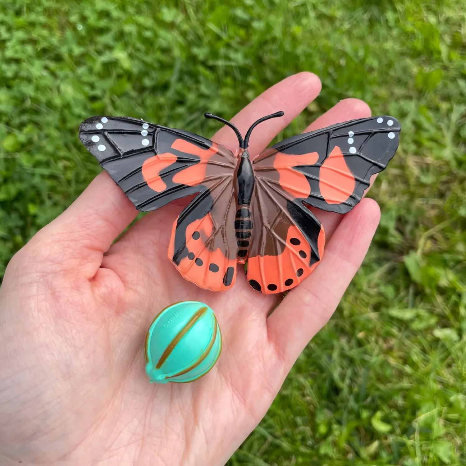 Insect Lore Zestaw figurek Cykl Życia Motyla