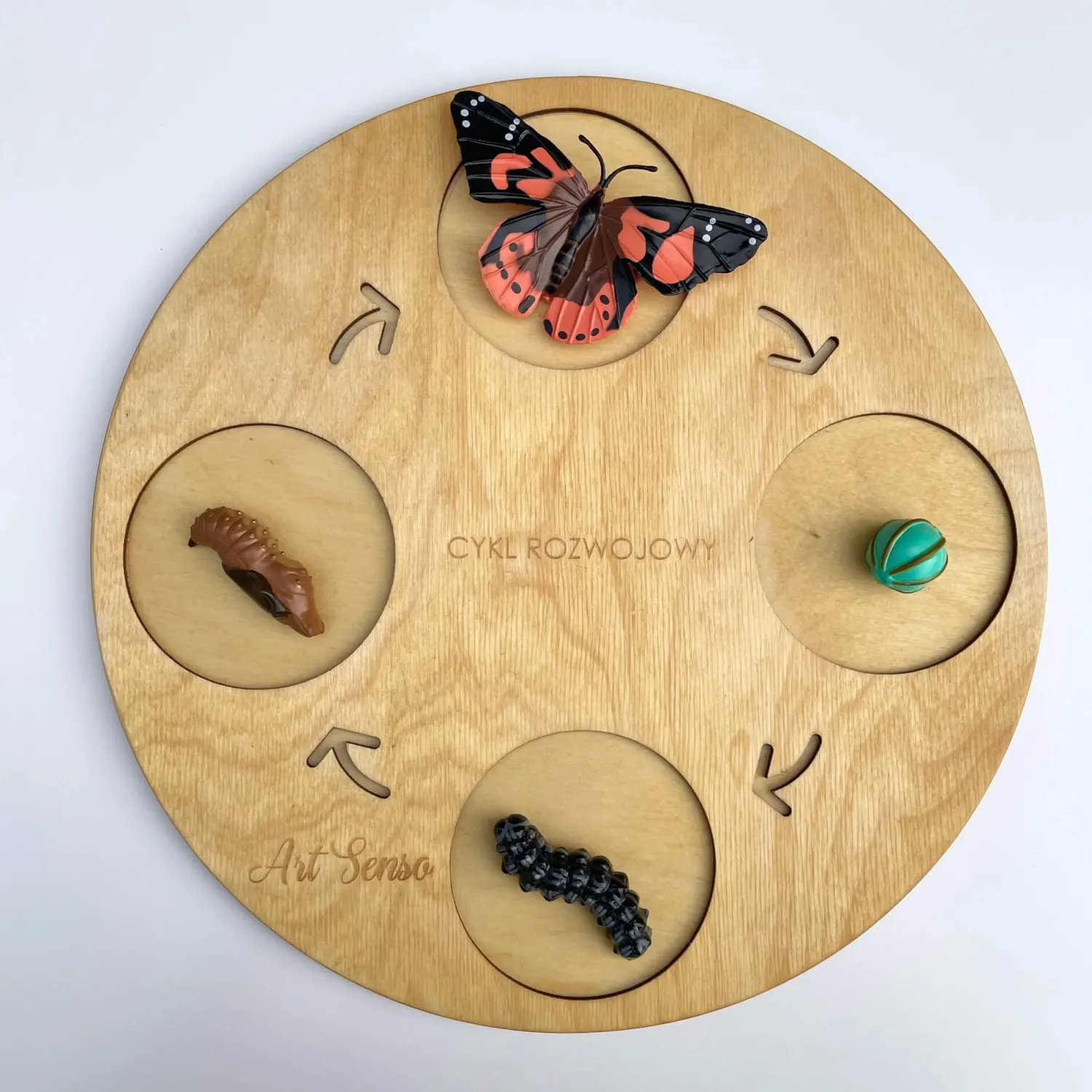 Insect Lore Zestaw figurek Cykl Życia Motyla