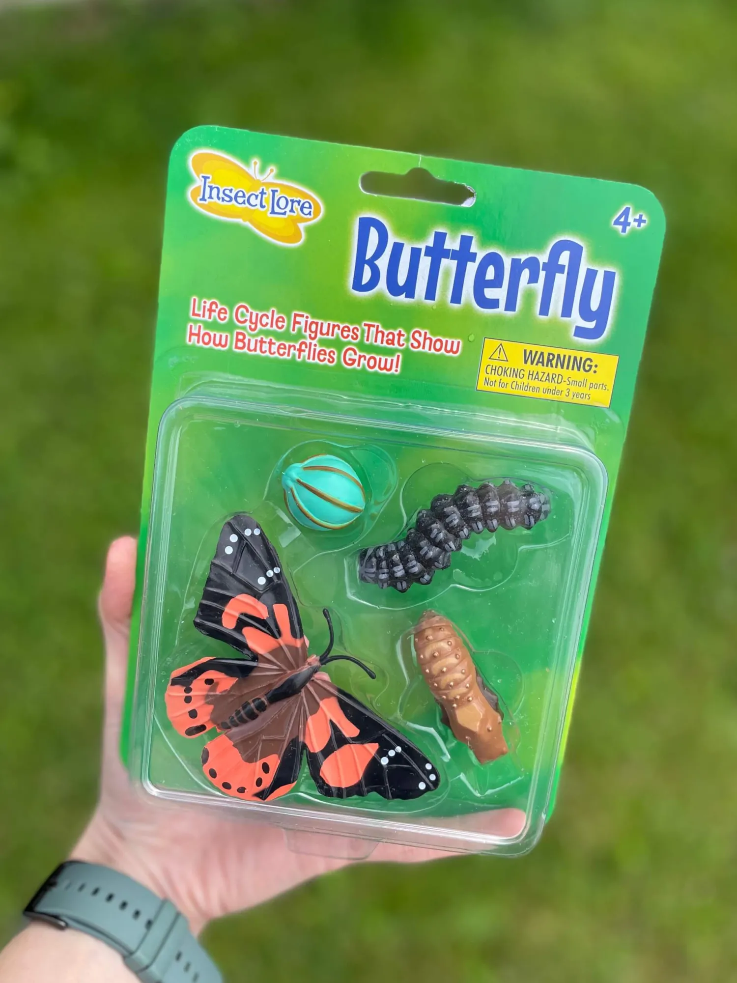 Insect Lore Zestaw figurek Cykl Życia Motyla