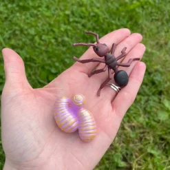 Insect Lore Zestaw figurek Cykl Życia Mrówki