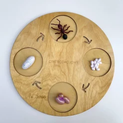 Insect Lore Zestaw figurek Cykl Życia Mrówki