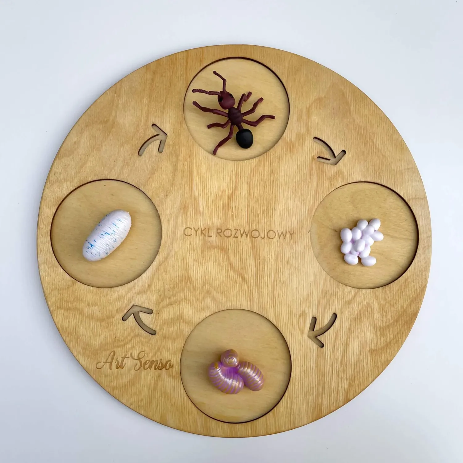 Insect Lore Zestaw figurek Cykl Życia Mrówki