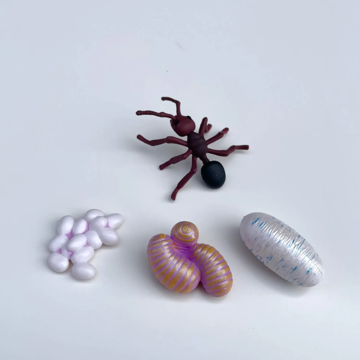 Insect Lore Zestaw figurek Cykl Życia Mrówki
