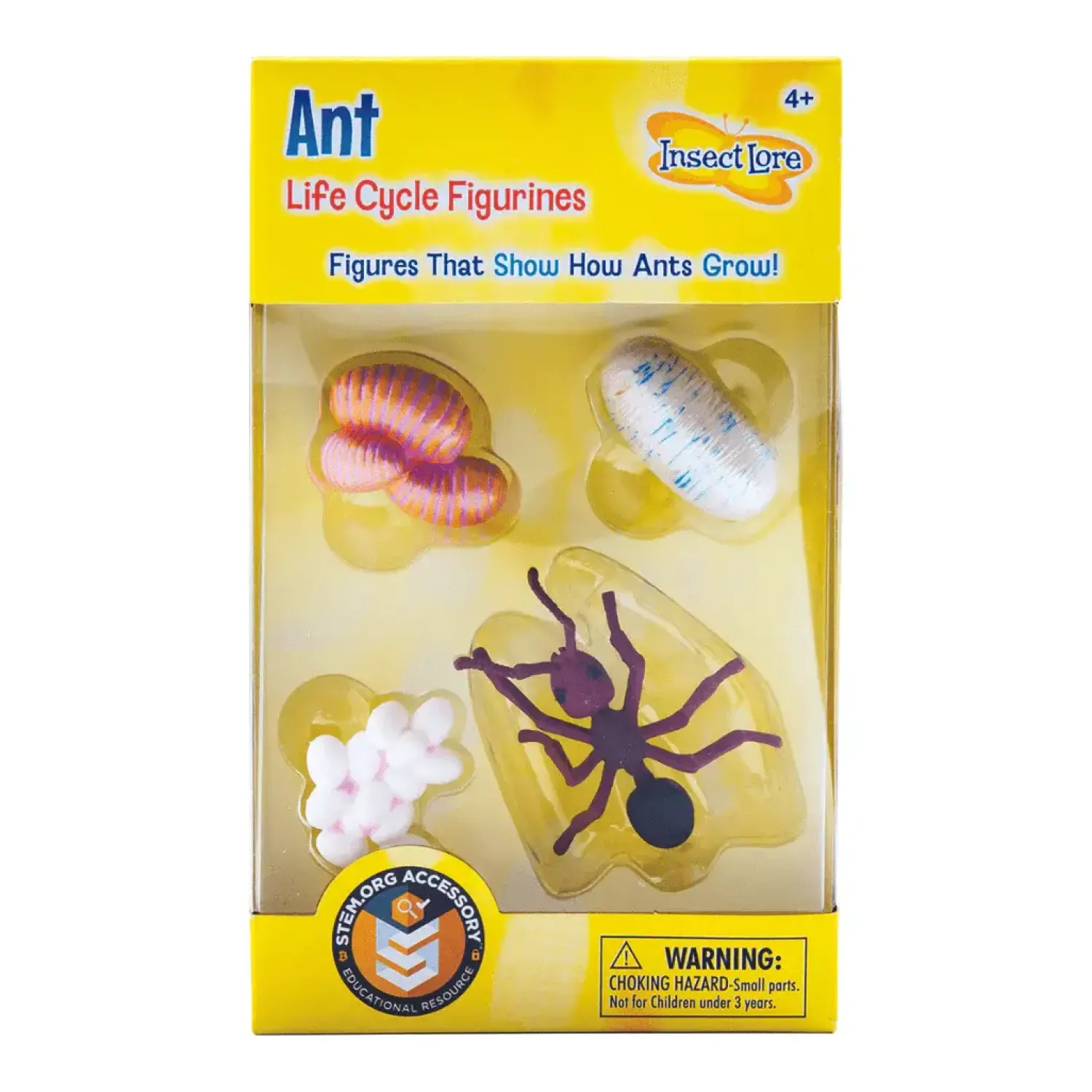 Insect Lore Zestaw figurek Cykl Życia Mrówki