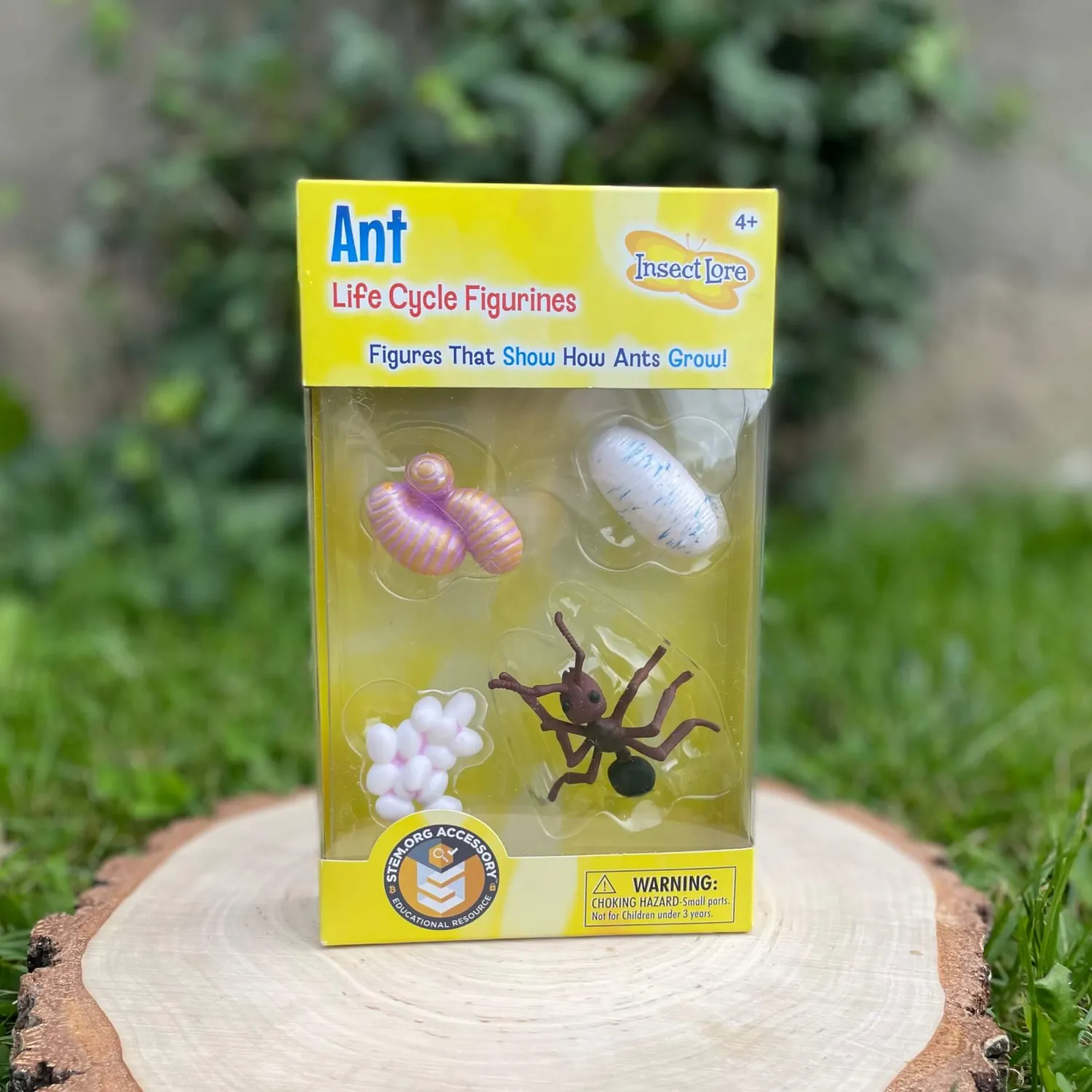 Insect Lore Zestaw figurek Cykl Życia Mrówki