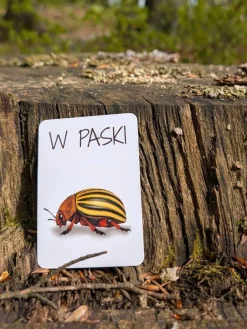 Nanuki Znajdź to! Gra terenowa
